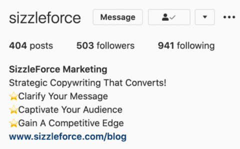 Screenshot of SizzleForce's social media bio for Instagram.