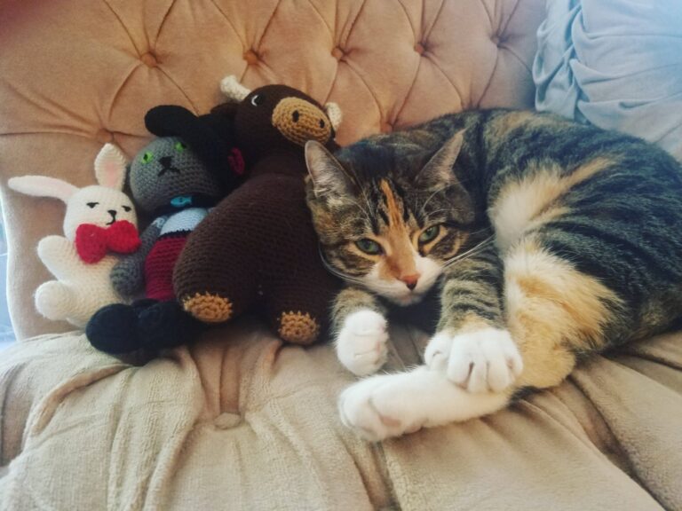 Eliza the Cat cuddling with her favorite stuffed animals.
